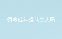 领养成年猫认主人吗