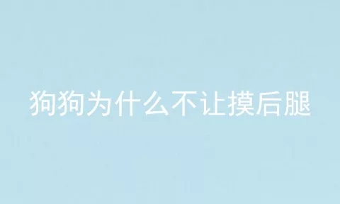 狗狗为什么不让摸后腿