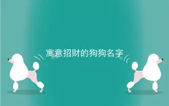 寓意招财的狗狗名字