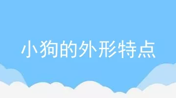 小狗的外形特点