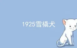 1925雪橇犬