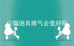 公猫绝育脾气会变好吗