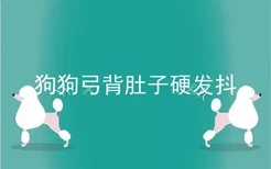 狗狗弓背肚子硬发抖