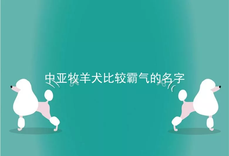 中亚牧羊犬比较霸气的名字