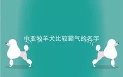 中亚牧羊犬比较霸气的名字