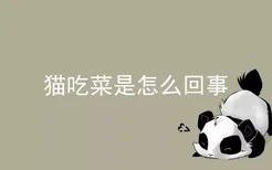 猫吃菜是怎么回事