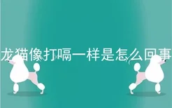 龙猫像打嗝一样是怎么回事