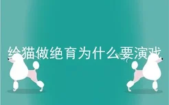 给猫做绝育为什么要演戏