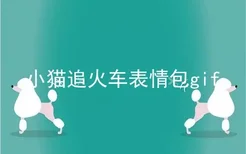 小猫追火车表情包gif