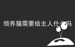 领养猫需要给主人什么吗