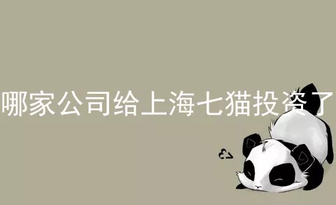 哪家公司给上海七猫投资了