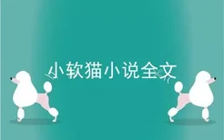 小软猫小说全文