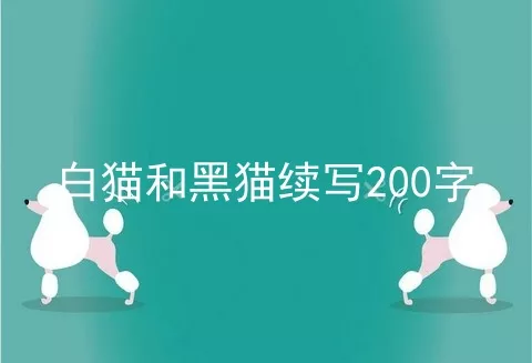 白猫和黑猫续写200字