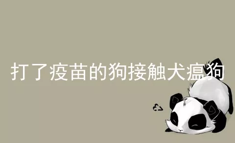 打了疫苗的狗接触犬瘟狗