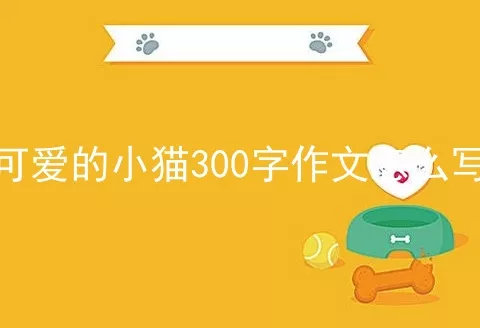 可爱的小猫300字作文怎么写