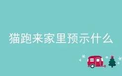 猫跑来家里预示什么