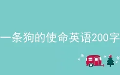 一条狗的使命英语200字