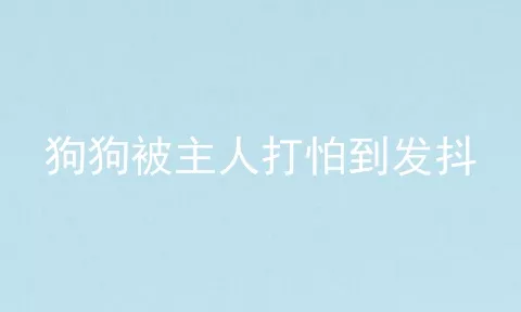 狗狗被主人打怕到发抖