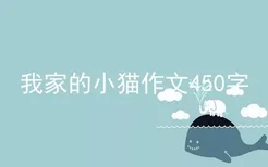 我家的小猫作文450字