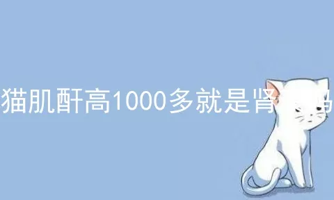 猫肌酐高1000多就是肾衰吗