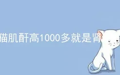 猫肌酐高1000多就是肾衰吗