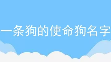 一条狗的使命狗名字