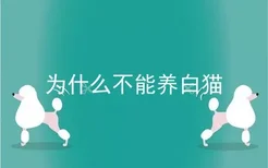 为什么不能养白猫