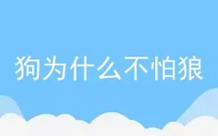 狗为什么不怕狼