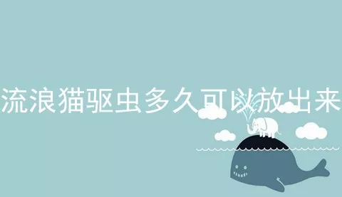 流浪猫驱虫多久可以放出来