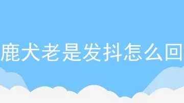 小鹿犬老是发抖怎么回事