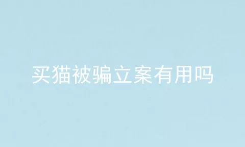 买猫被骗立案有用吗