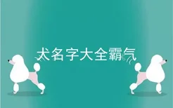 犬名字大全霸气