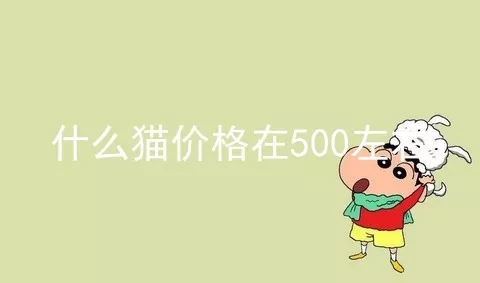 什么猫价格在500左右