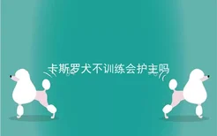 卡斯罗犬不训练会护主吗