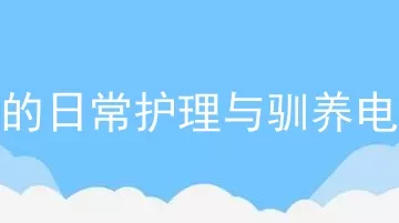 狗狗的日常护理与驯养电子书