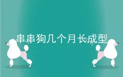 串串狗几个月长成型