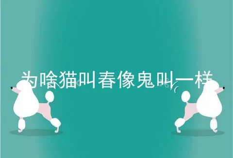 为啥猫叫春像鬼叫一样