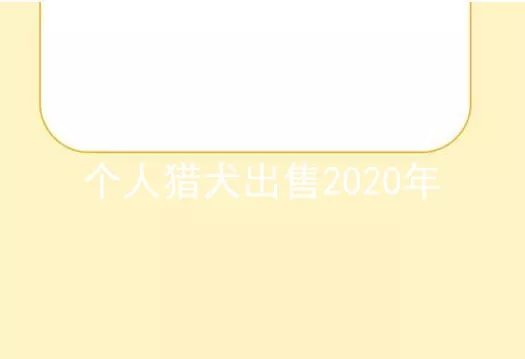 个人猎犬出售2020年