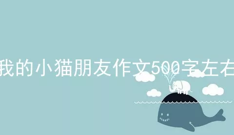 我的小猫朋友作文500字左右