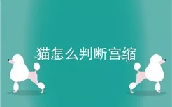 猫怎么判断宫缩