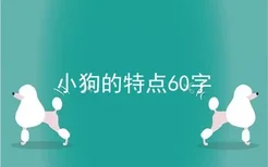 小狗的特点60字