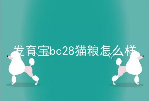 发育宝bc28猫粮怎么样