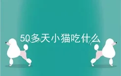 50多天小猫吃什么