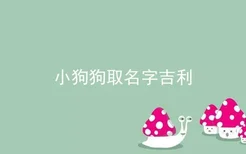 小狗狗取名字吉利