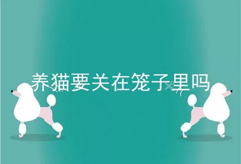 养猫要关在笼子里吗