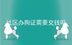 社区办狗证需要交钱吗