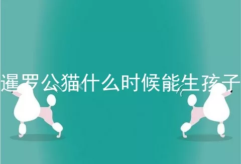 暹罗公猫什么时候能生孩子