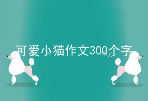 可爱小猫作文300个字