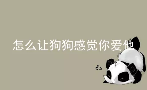 怎么让狗狗感觉你爱他