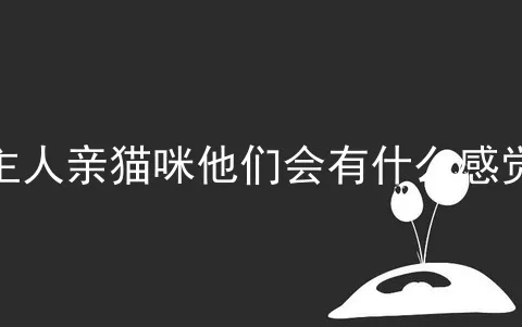 主人亲猫咪他们会有什么感觉